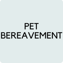 
    Pet Bereavement
  